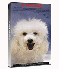 O POODLE