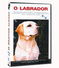 O LABRADOR