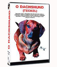 O DACHSHUND (TECKEL)